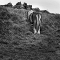 img_1719a