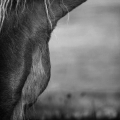 img_5845