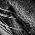 img_7509
