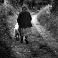 img_1158an