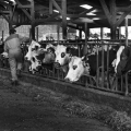 img_7065