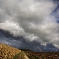 img_0654-copie-redi-er