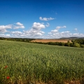 img_6102ppp