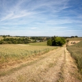 img_6784-18-05-11
