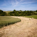 img_6791-18-05-11