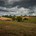 mg_8646aaa
