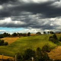 mg_8719a