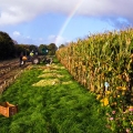 dscf7112-22-11-10