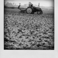 img_6316-pola