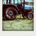img_6398-pola