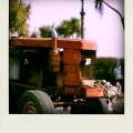 img_6413-pola
