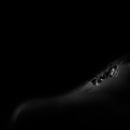 dsc_0283