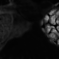 dscf3389