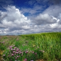Vente photos agriculture bretonne