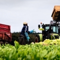 Vente photos agriculture bretonne