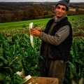 Vente photos agriculture bretonne
