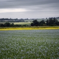 Vente photos agriculture bretonne