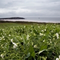 Vente photos agriculture bretonne
