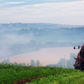 Vente photos agriculture bretonne