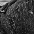 Vente photos agriculture bretonne
