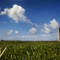 Vente photos agriculture bretonne