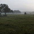 Vente photos agriculture bretonne