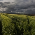 Vente photos agriculture bretonne