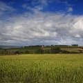 Vente photos agriculture bretonne