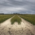 Vente photos agriculture bretonne