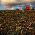 Vente photos agriculture bretonne