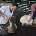 Vente photos agriculture bretonne