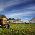 Vente photos agriculture bretonne