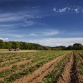 Vente photos agriculture bretonne