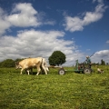Vente photos agriculture bretonne