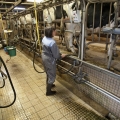 Vente photos agriculture bretonne