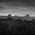 Vente photos agriculture bretonne