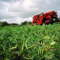 Vente photos agriculture bretonne